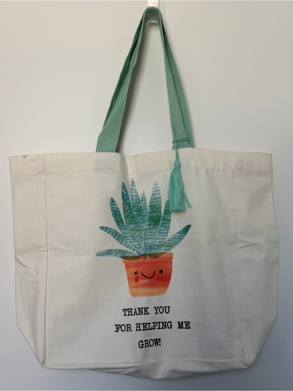 Canvas Tote Bag with Smiling Plant Print - Mint Handles